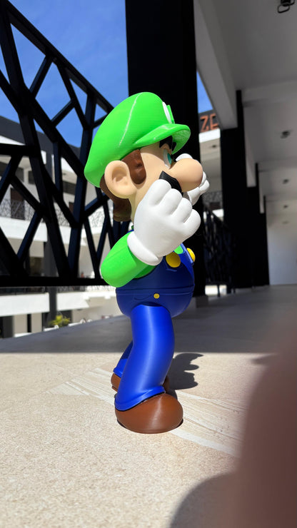 💪 Luigi, el Super Fontanero